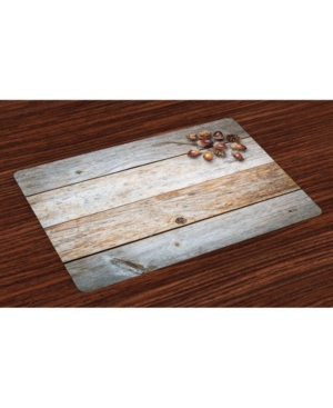 Ambesonne Rustic Place Mats Set of 4