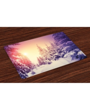 Ambesonne Winter Place Mats Set of 4
