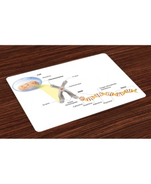 Ambesonne Educational Place Mats Set of 4