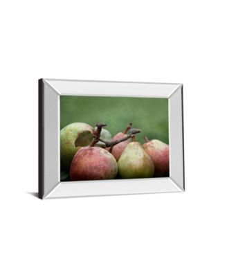 Classy Art Comice Pear II by Rachel Perry Mirror Framed Print Wall Art, 22" x 26"