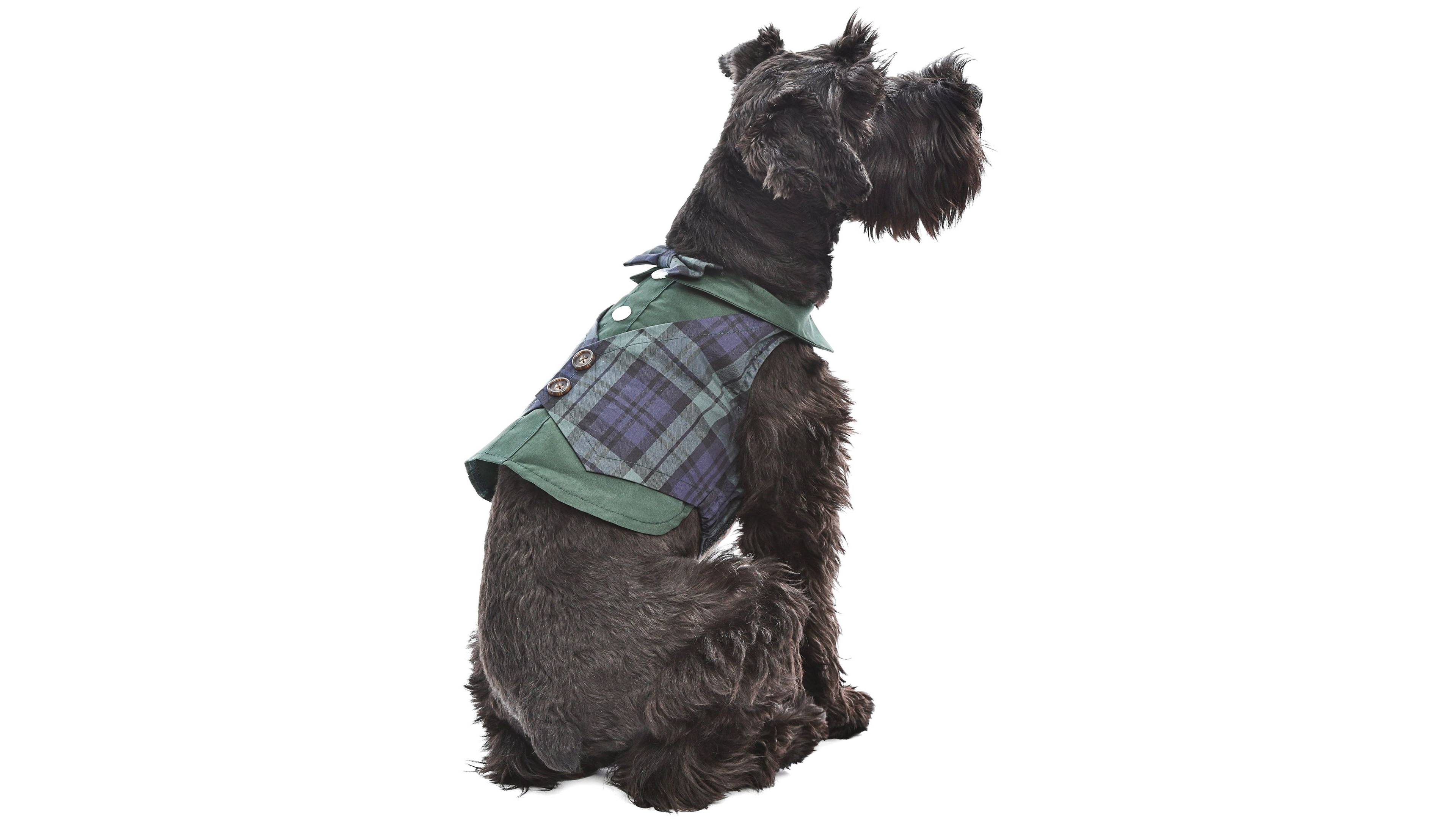 Parisian Pet Scottish Tuxedo Green Plaid