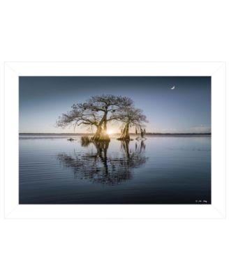 Tree Reflections by Moises Levy, Ready to hang Framed Print, White Frame, 21" x 15"