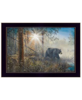 Shadow in the Mist By Jim Hansen, Printed Wall Art, Ready to hang, Black Frame, 20" x 14"