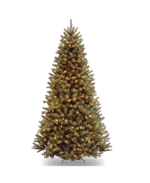 National Tree Company 6 ft. North Valley Spruce Tree with Clear Lights, Green