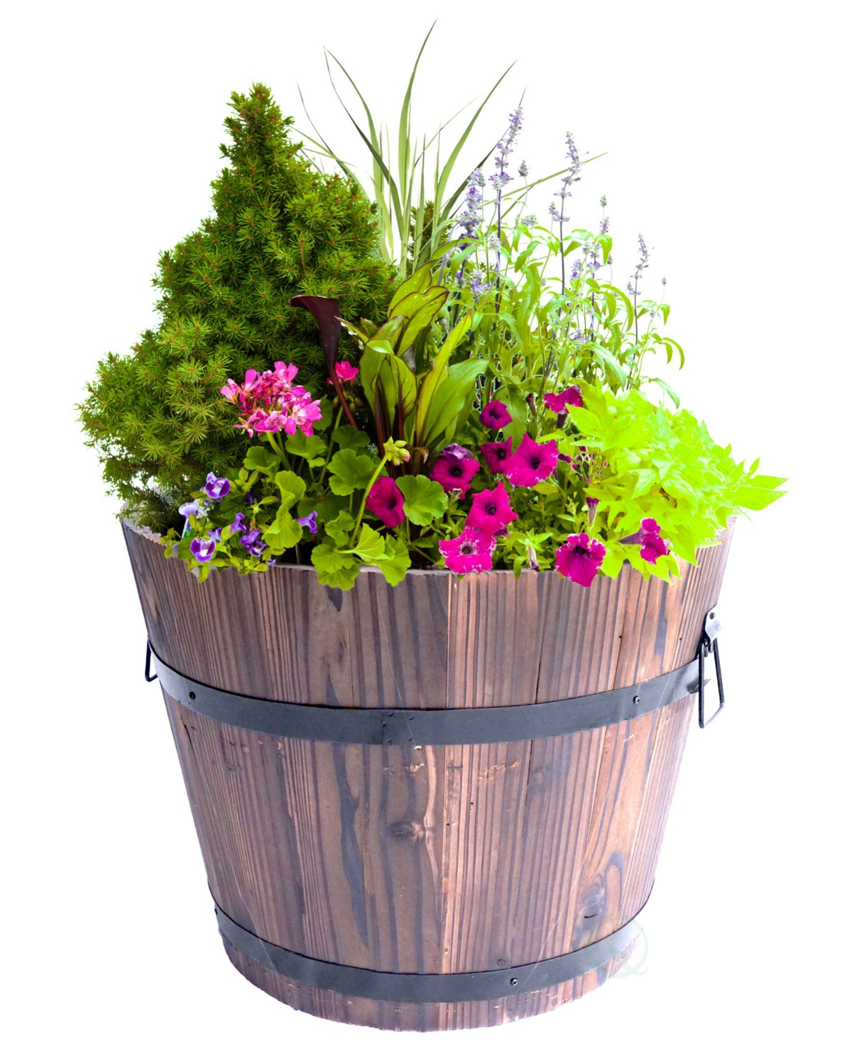Extra Large Wooden Whiskey Barrel Planter - Brown