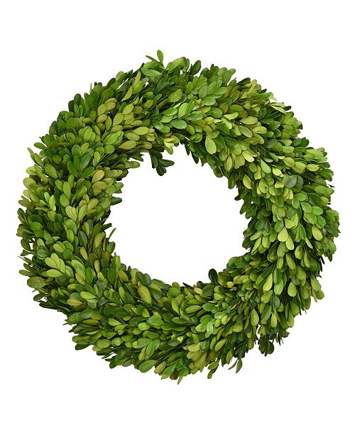 Mills Floral 14 D Preserved Boxwood Wreath Reviews All