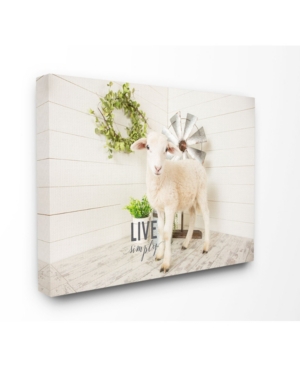 Stupell Industries Live Simply Baby Sheep with Greenery Photograph Canvas Wall Art 16