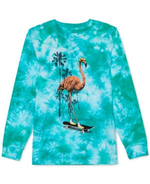image of Jem Big Boys Flamingo Skater Tie-Dye T-Shirt