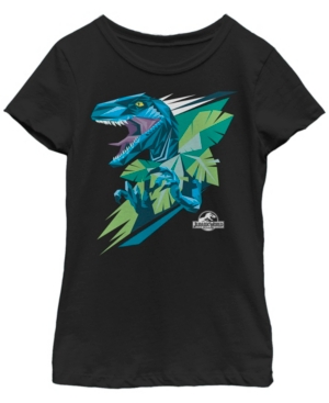 Fifth Sun Jurassic World Big Girl's Geometric Blue Dinosaur Short Sleeve T-Shirt
