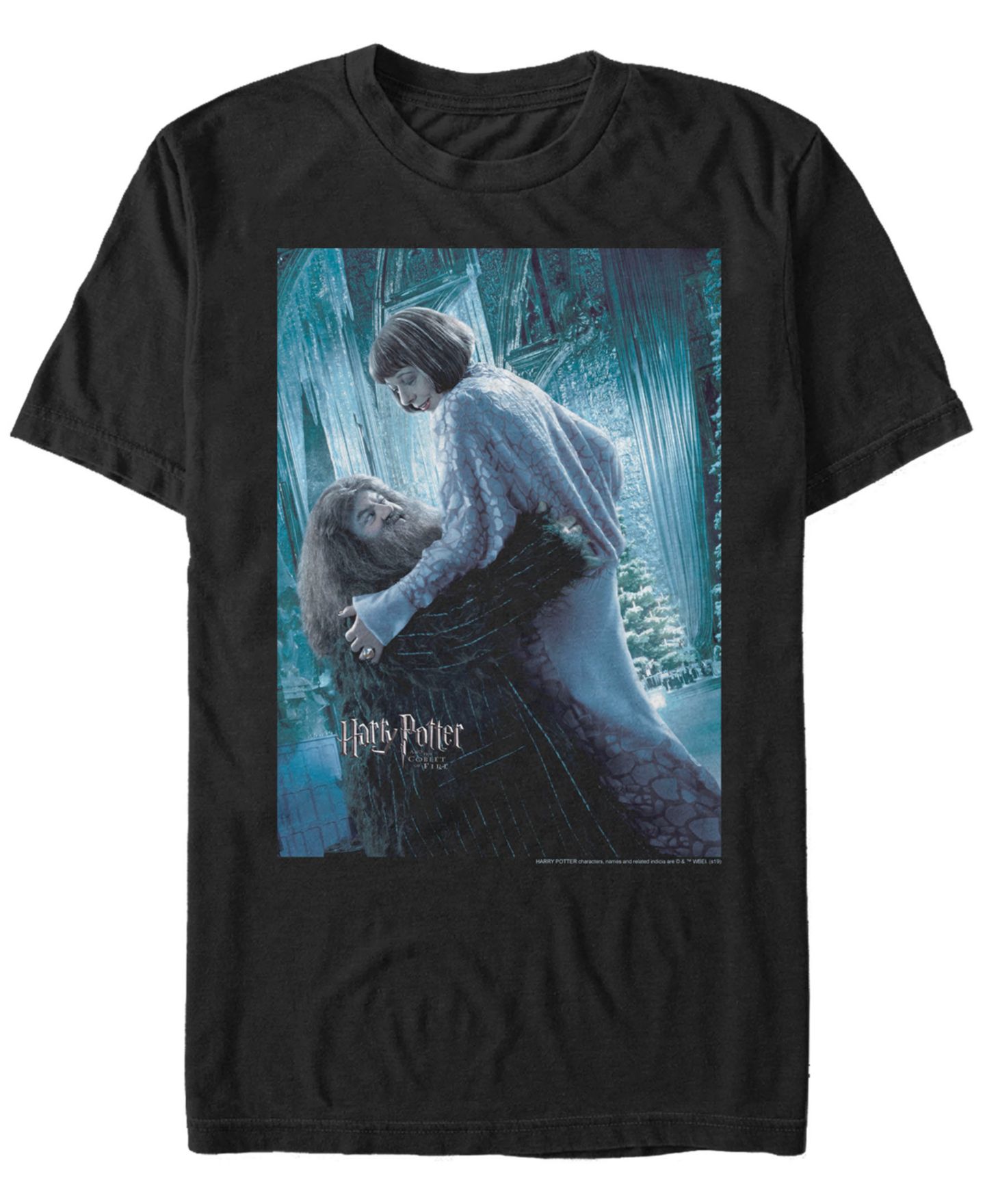 Мужская футболка Fifth Sun Harry Potter Goblet of Fire Hagrid and Madame Maxime Poster Short Sleeve — фото 1