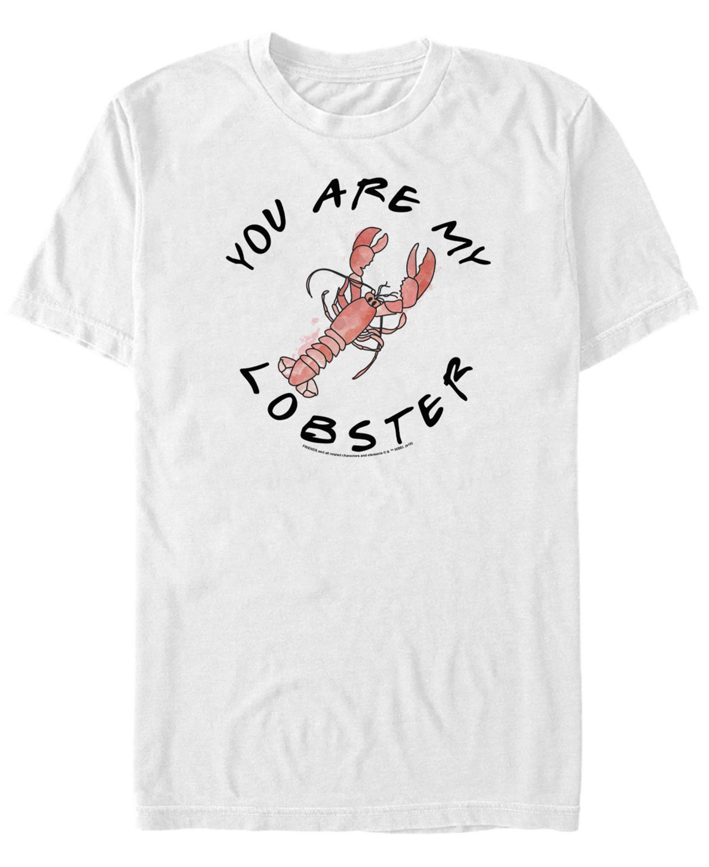 Мужская футболка Fifth Sun Friends You Are My Lobster Text Short Sleeve — фото 1
