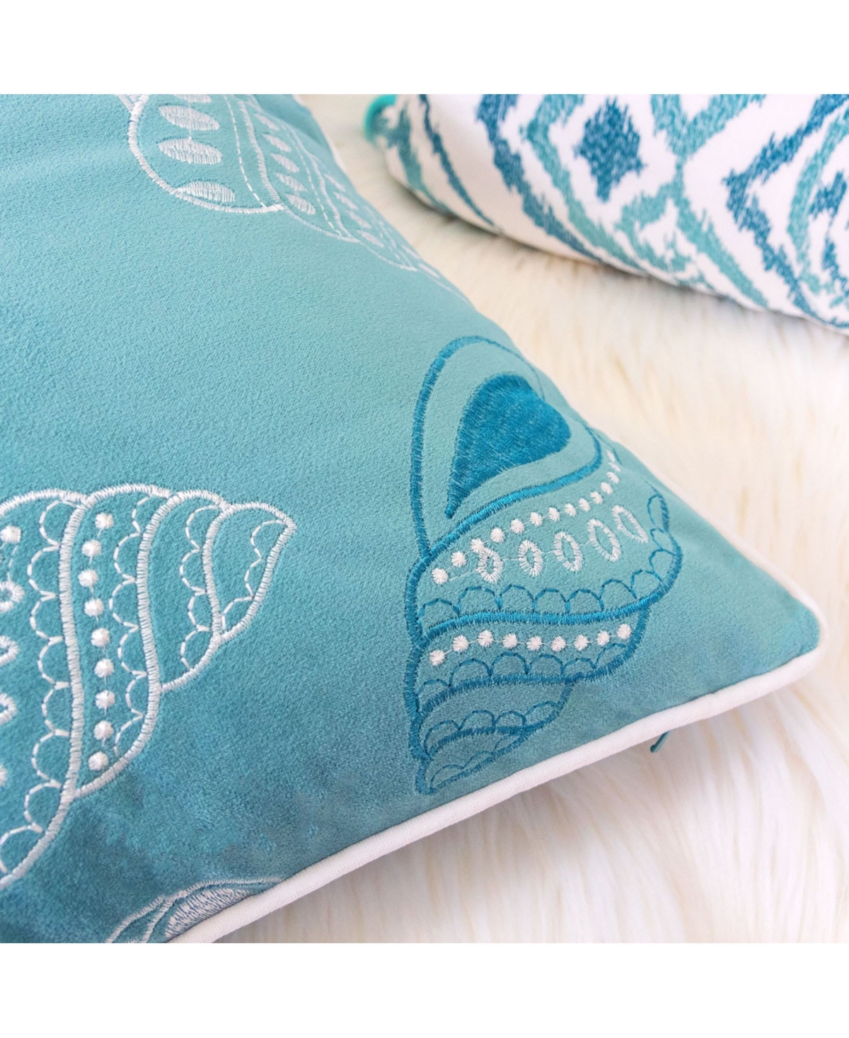 Seashell 20