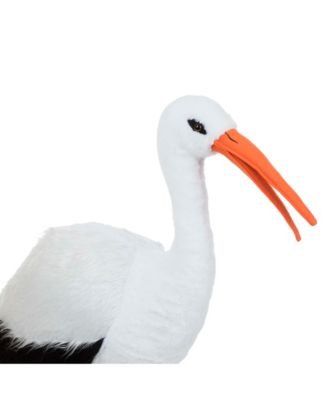 Stork