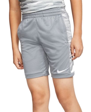 image of Nike Big Boys Trophy Shorts