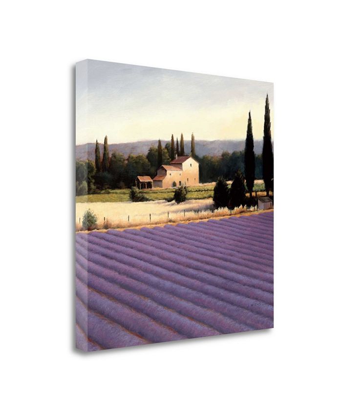 Tangletown Fine Art - 