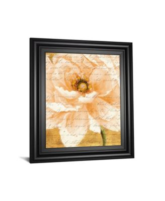 Beautiful Cream Peonies Script by Patricia Pinto Framed Print Wall Art Collection
