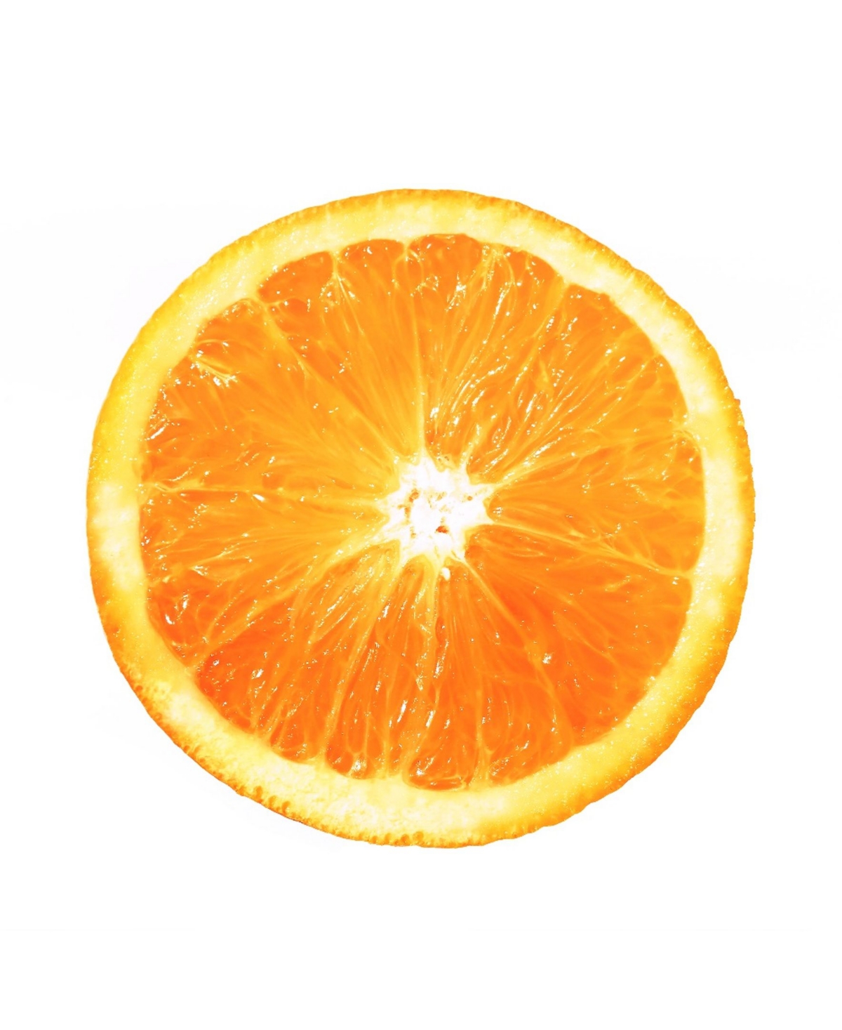 Eyes On Walls Ivan Ballack Citrus Cultivar Museum Mounted Canvas 18