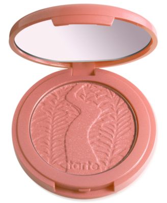 Amazonian Clay 12-Hour Blush