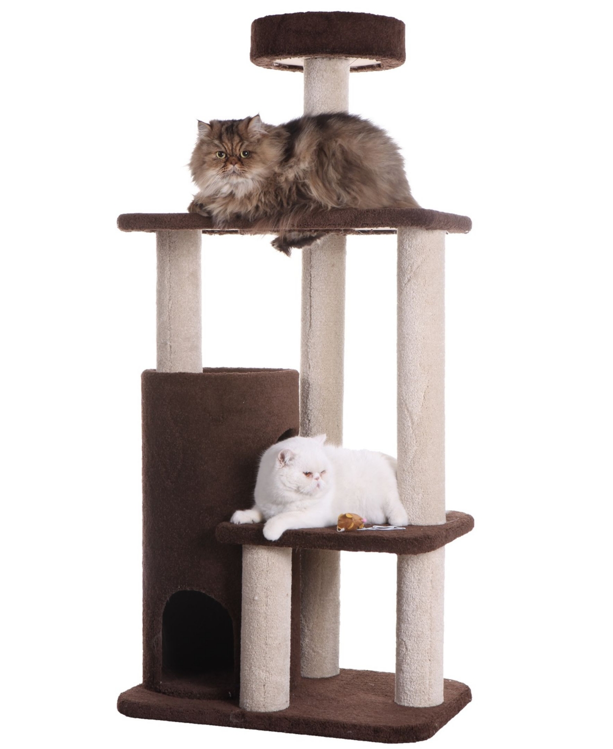 3-Level Carpeted Real Wood Cat Tree Condo - Coffee Brown