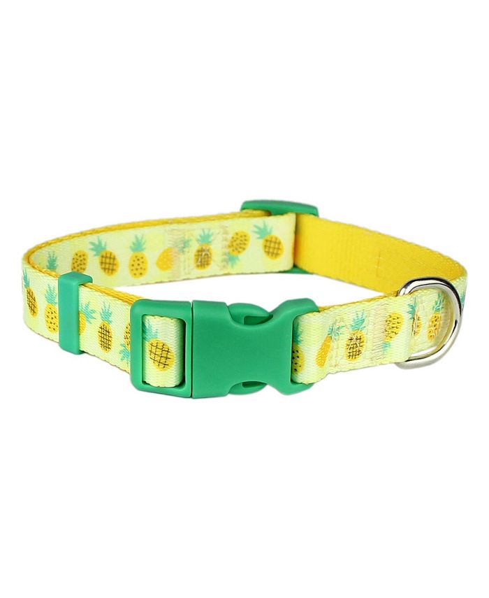Parisian Pet Pineapples Dog Collar Macy's
