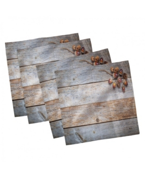 Ambesonne Rustic Set of 4 Napkins 12
