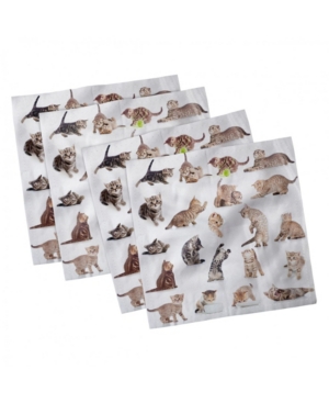 Ambesonne Cat Set of 4 Napkins 12