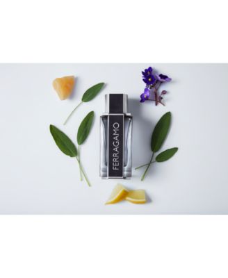 Salvatore Ferragamo Mens Ferragamo Eau de Toilette Spray 34-oz 19490₽