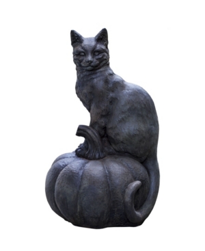 Shop Campania International Cat On Pumpkin Garden Statue In Black