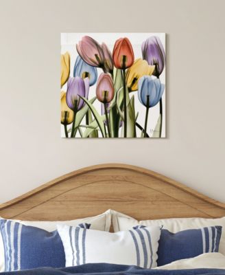 Tulip Scape x-ray II Frameless Free Floating Tempered Glass Panel Graphic Wall Art, 24" x 24" x 0.2"