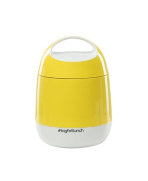 bigfatlunch Insulated Hot or Cold Travel Food Storage Lunch Box with 2 Compartments
