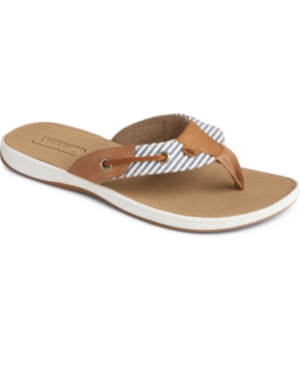 Sperry Seafish Thong Sandals Women's Shoes