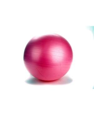 Mind Reader Exercise Yoga Ball for Fitness