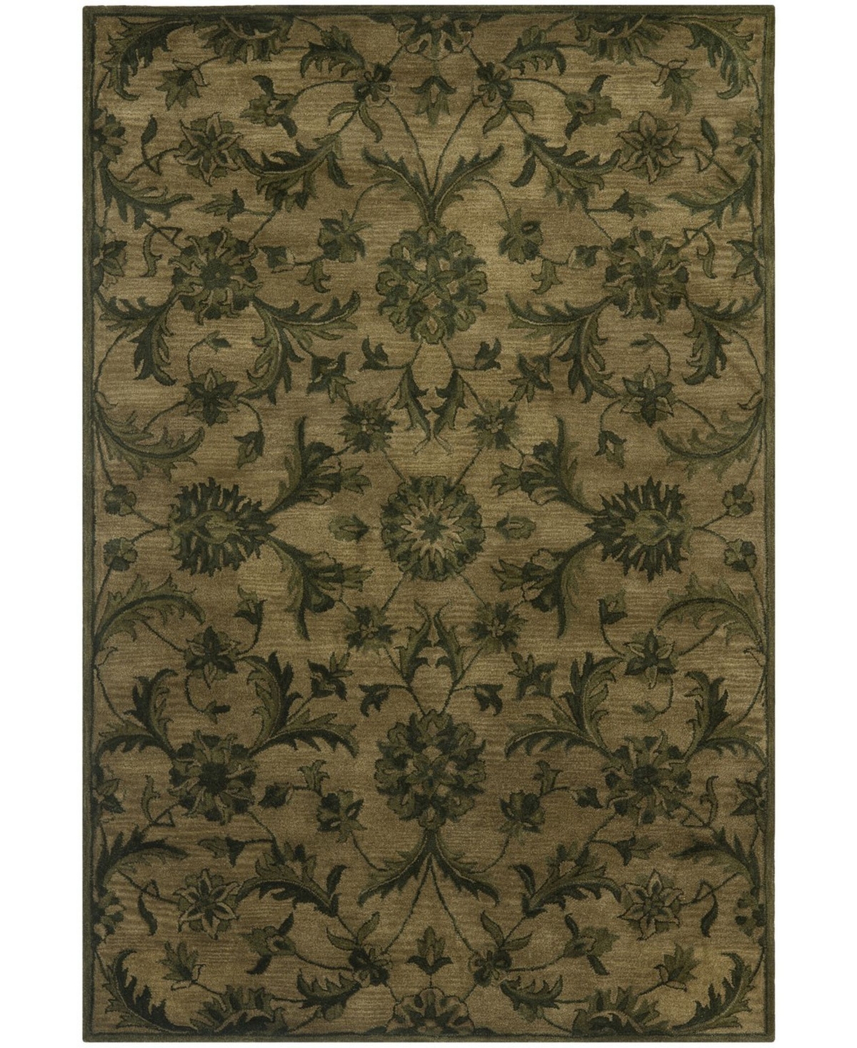Safavieh Antiquity At824 Olive 6' x 9' Area Rug - Olive
