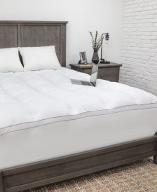 Charisma Bedding On Sale Macy S