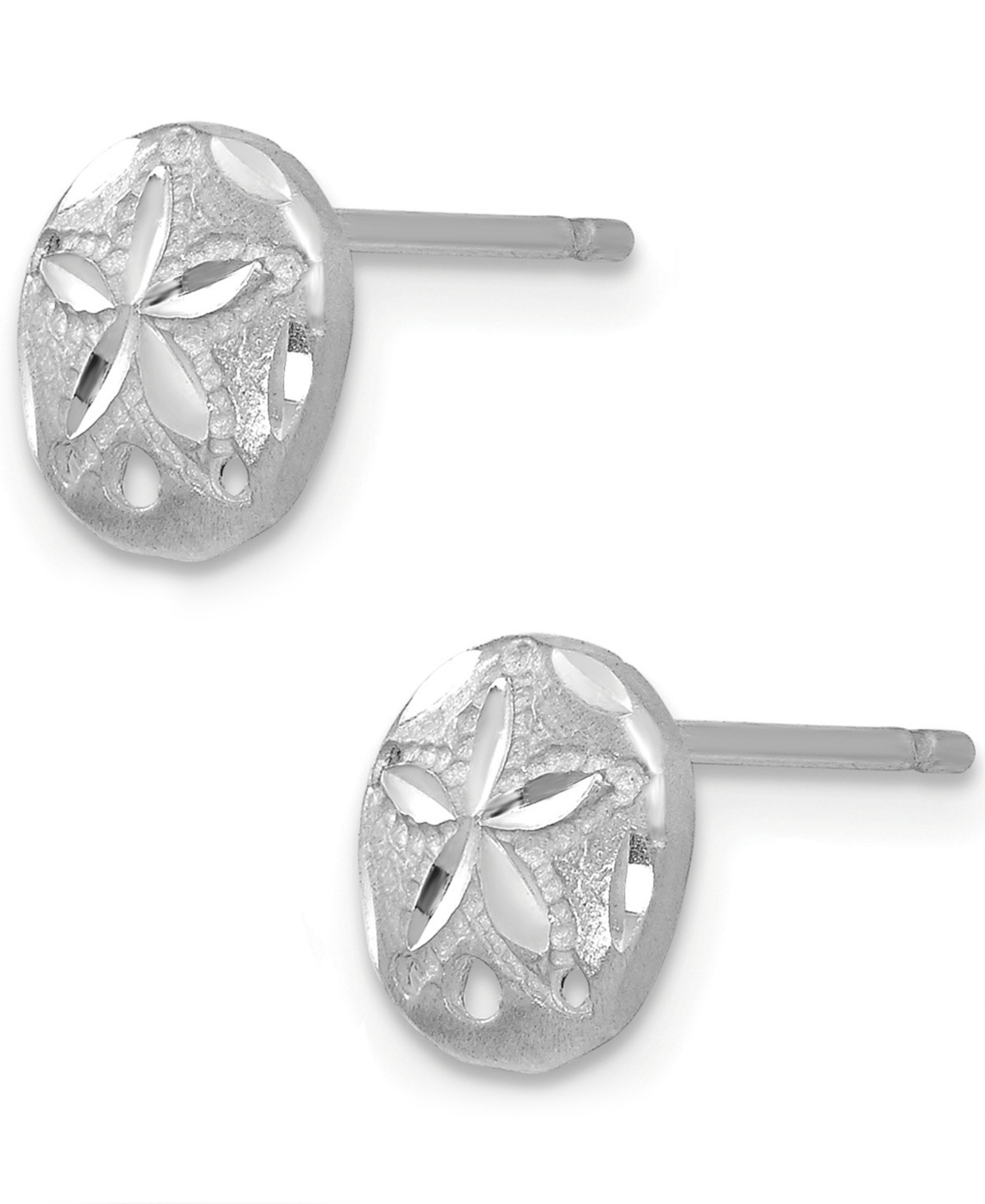 Sand Dollar Stud Earrings in 14k- White Gold