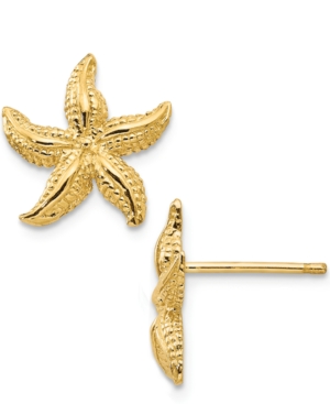 image of Starfish Stud Earrings in 14k Yellow Gold