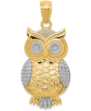 image of Textured Owl Charm in 14K Gold with Rhodium Plating