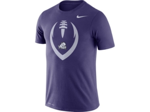 Nike Texas Christian Horned Frogs Men's Legend Icon T-Shirt