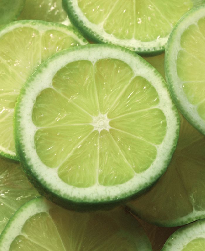 Ralph Lauren Pink Pony Romance Limited Edition, 3.4oz Macy's