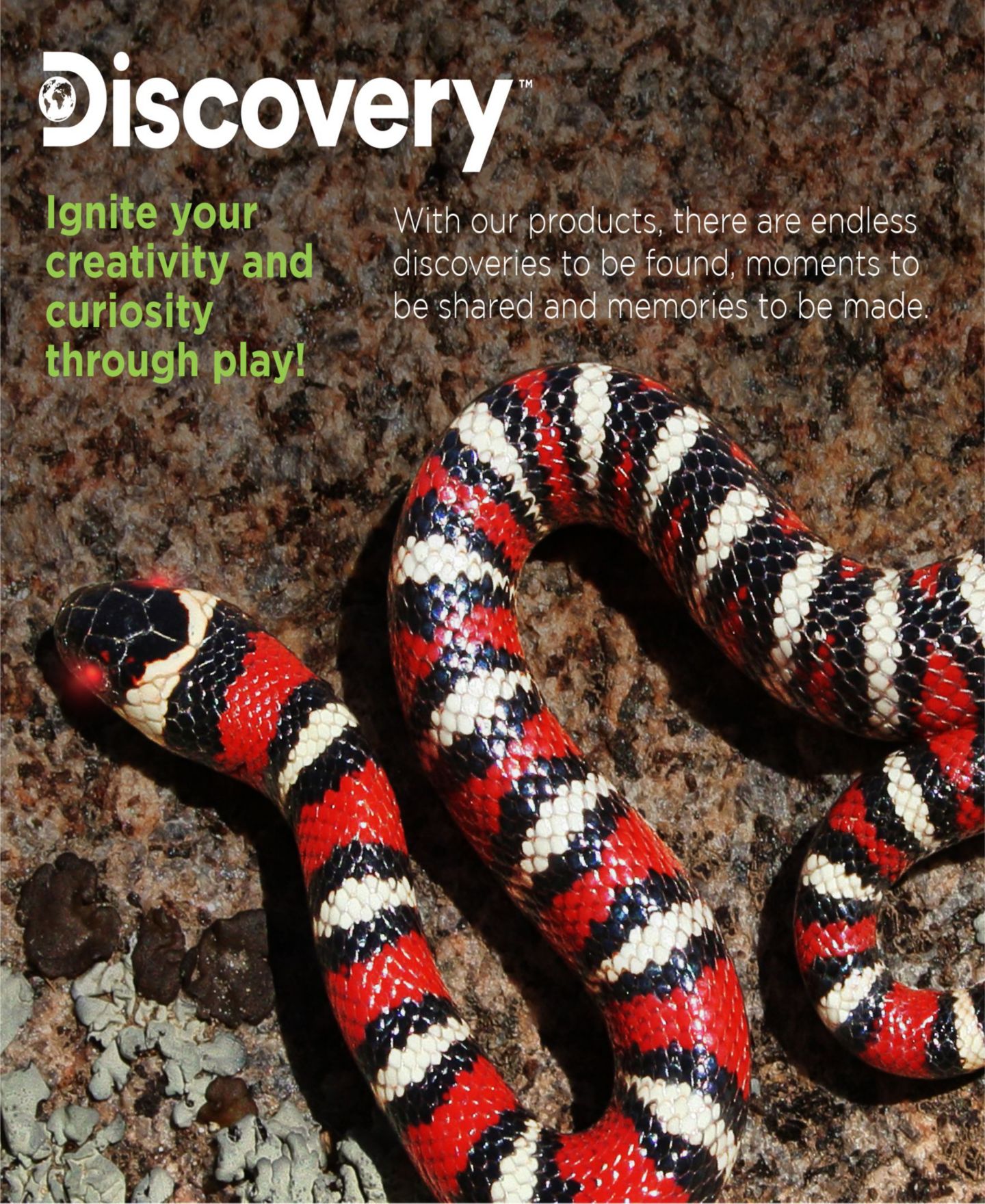 Детская игрушка Discovery Kids Toy Remote Control King Snake — фото 7