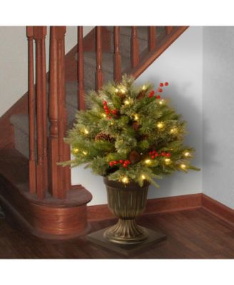 National Tree Company National Tree 24" "Feel Real" Colonial Porch Bush with Cones, Red Berries, and 50 Clear Lights