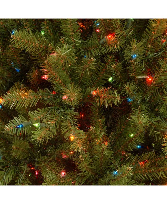 National Tree Company - National Tree 7 .5' Dunhill Fir Slim Tree with 600 Multicolor Lights