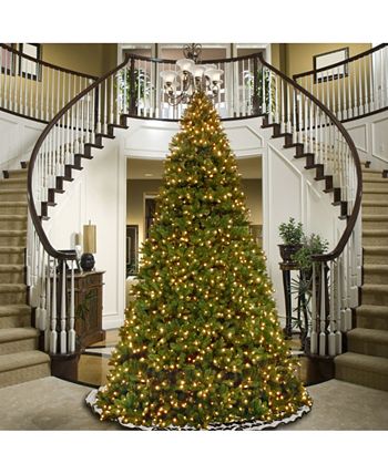 National Tree Company Feel-Real Downswept Douglas Fir Tree with Clear Lights, 7.5