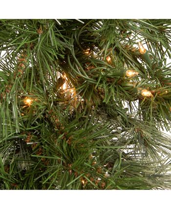National Tree Company - 24" Wispy Willow Wreath with Clear Lights
