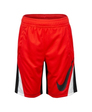 Nike Toddler Boy Color Blocked Short