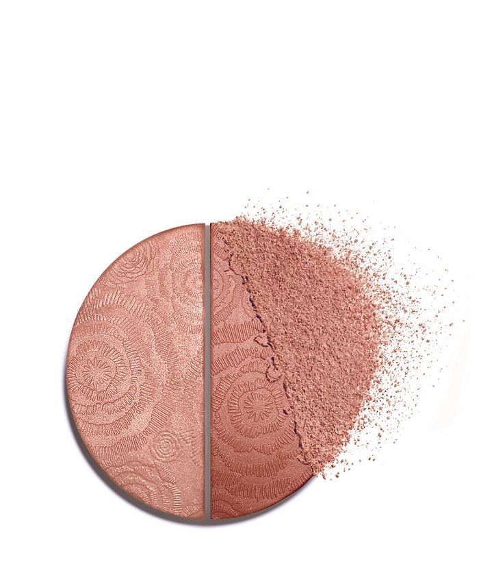 CHANEL FLEURS DE PRINTEMPS Blush & Highlighter Duo Macy's