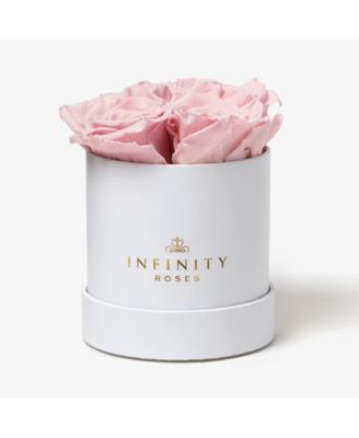 Infinity Roses