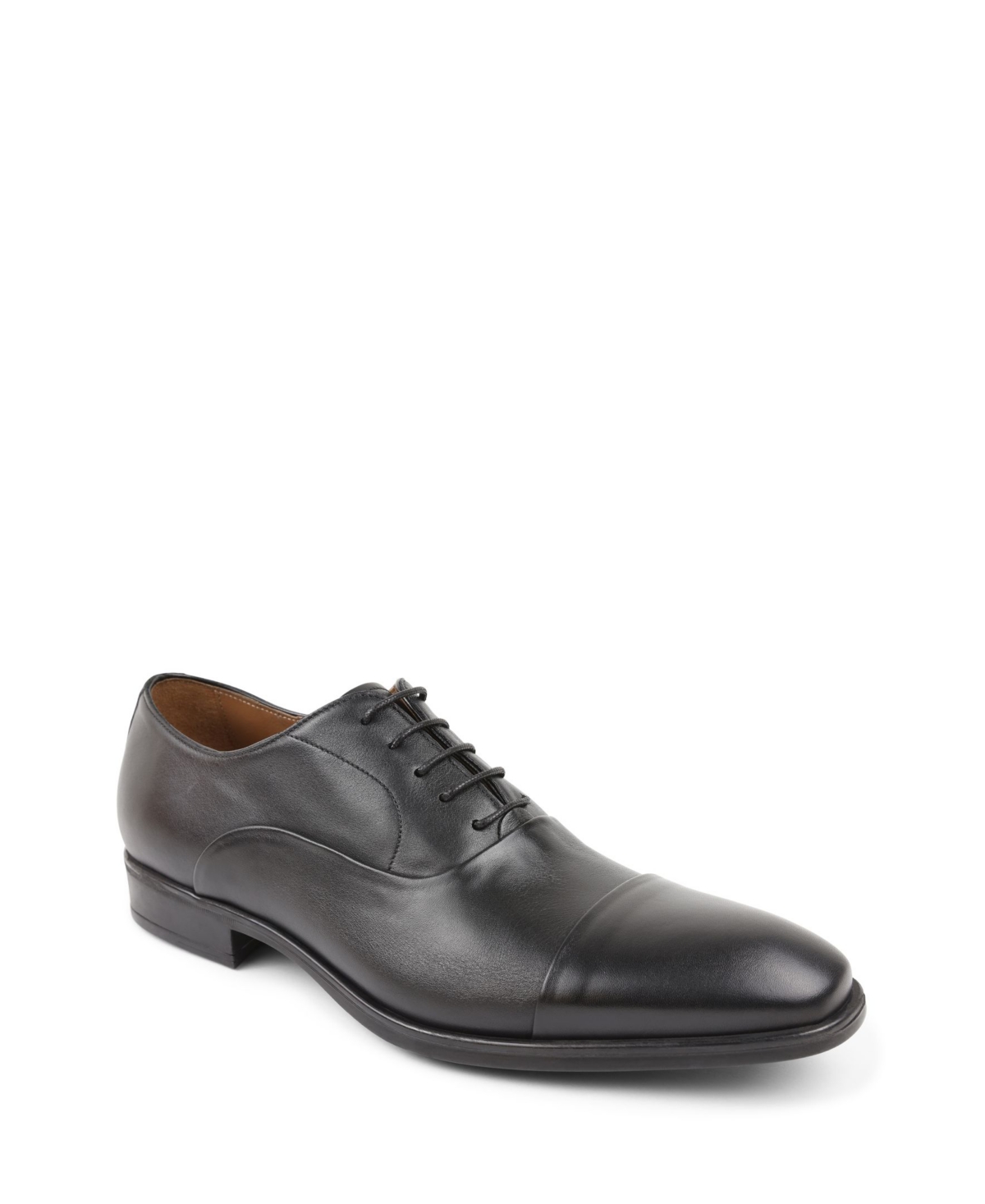 Men's Locascio Classic Oxford Shoe - Dark Brown