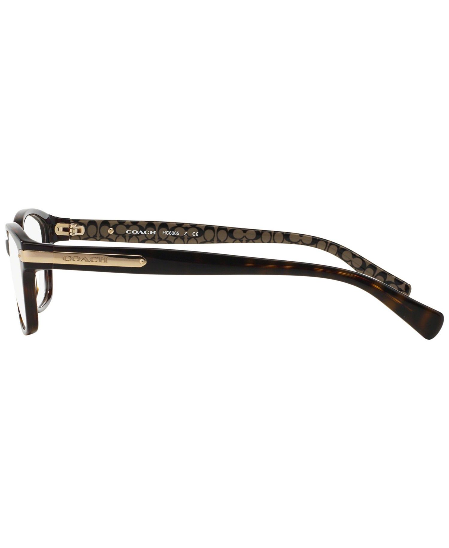 Woman Rectangle Plastic HC6065 Eyeglasses