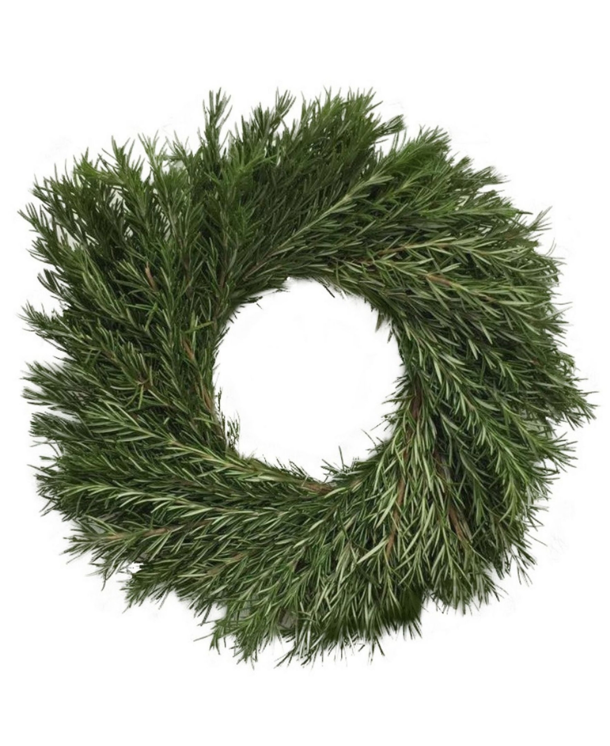 Fresh Rosemary Wreath, 20" - Green